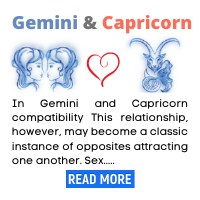 Gemini-and-Capricorn
