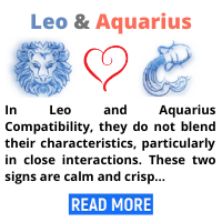 Leo-and-Aquarius