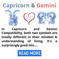 Capricorn-and-Gemini