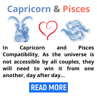 Capricorn-and-Pisces